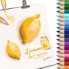 Super Soft Pastel Colored Pencils Procreate Brushes + 330 Colors - Image 5